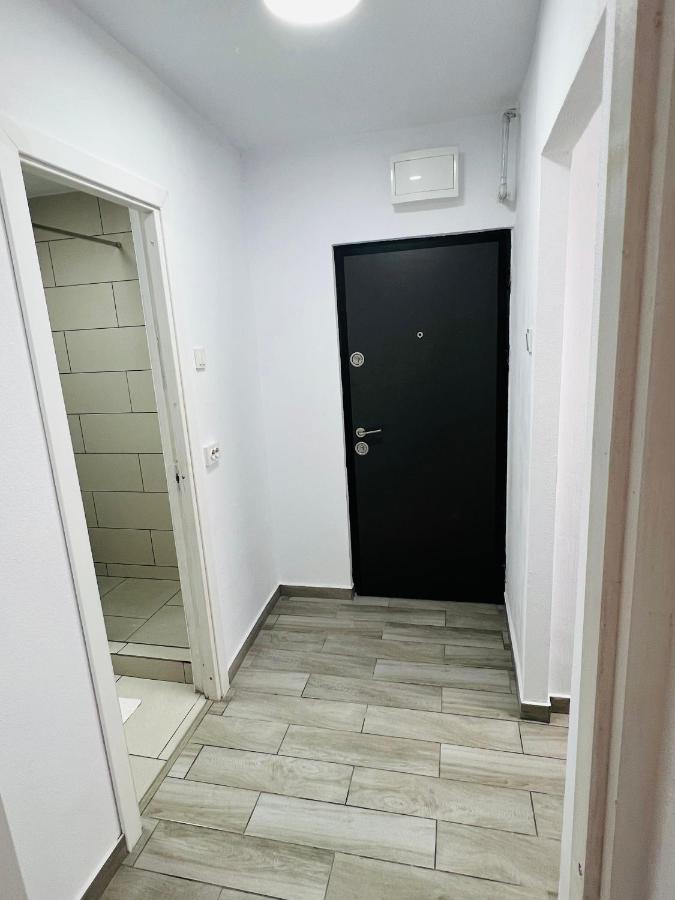 Blue Alpin Straja Apartment Vulcan  Exterior foto