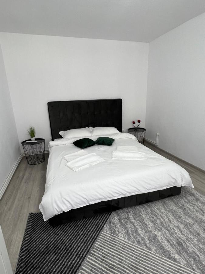 Blue Alpin Straja Apartment Vulcan  Exterior foto