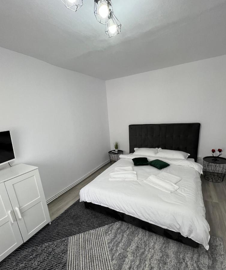 Blue Alpin Straja Apartment Vulcan  Exterior foto